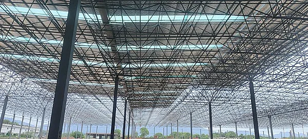 钢结构项目预算优化指南：降低成本的关键方法